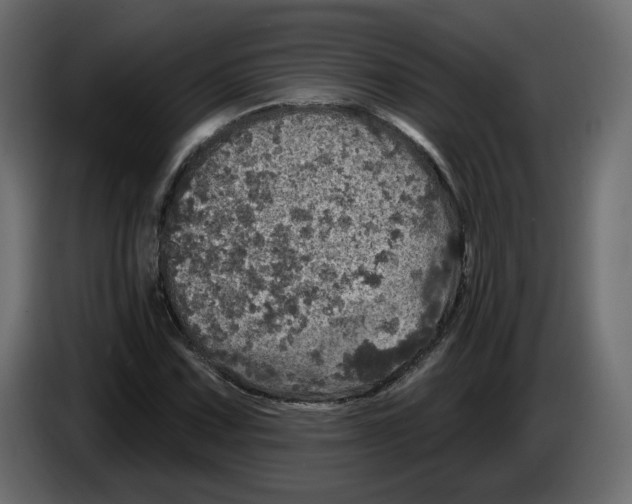 X0000084521067200703231625