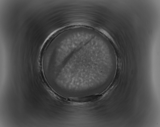 X0000084521068200703231625
