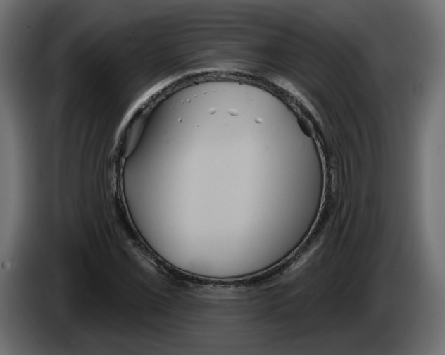 X0000084521069200703231625
