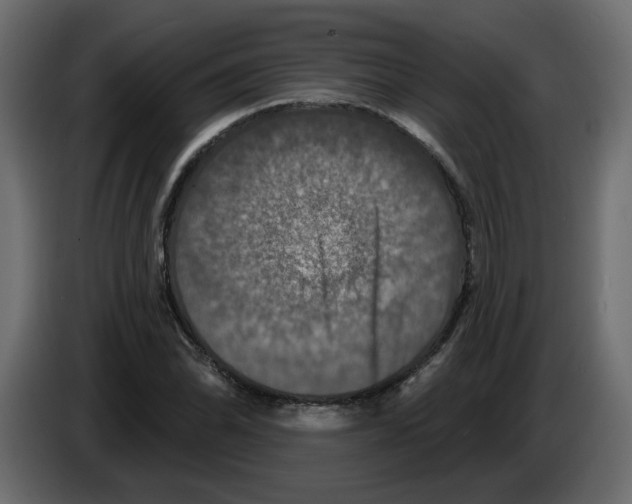 X0000084521070200703231625