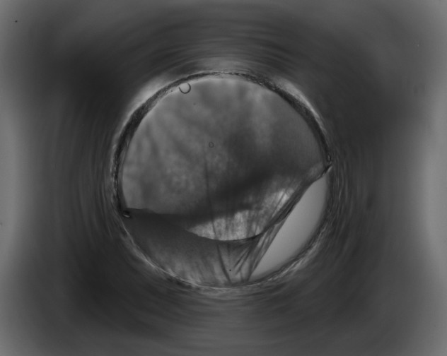 X0000084521071200703231625