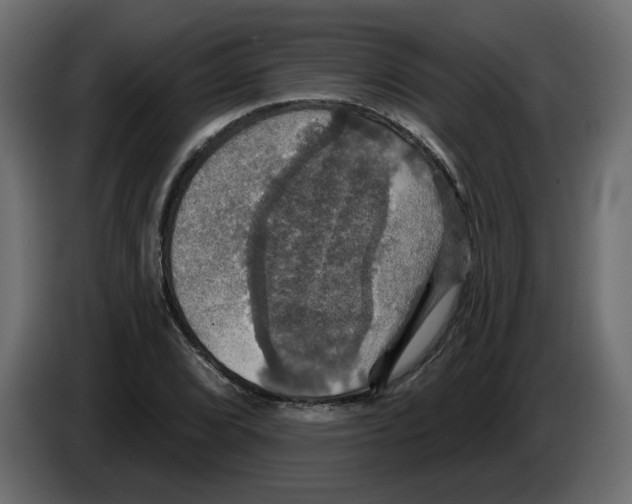 X0000084521072200703231625