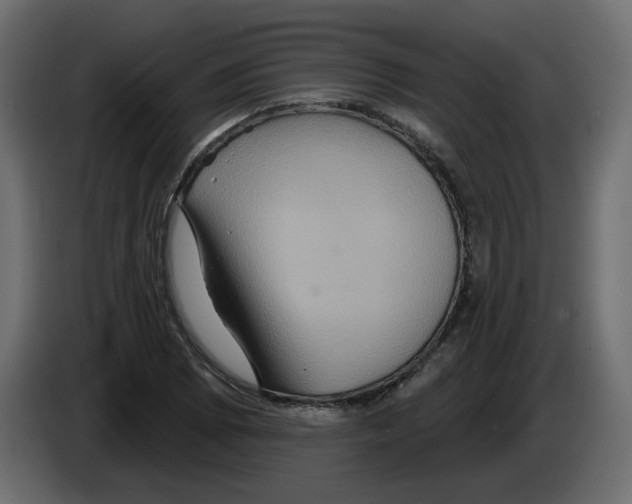 X0000084521073200703231625