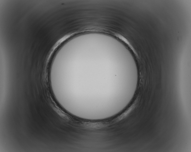 X0000084521074200703231625