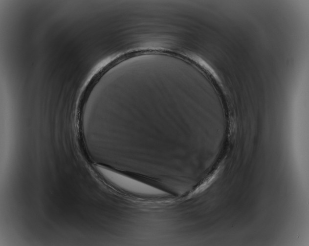 X0000084521077200703231625