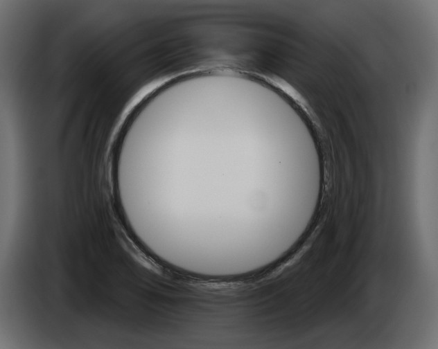 X0000084521078200703231625