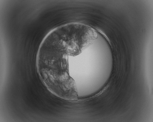 X0000084521079200703231625