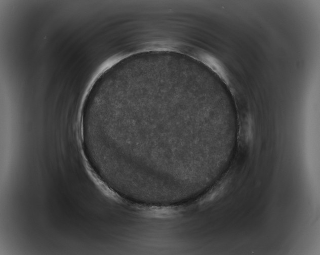 X0000084521080200703231625