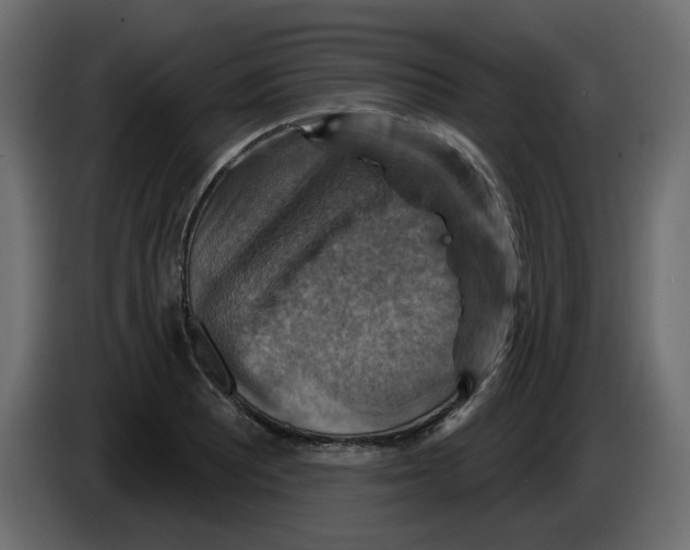 X0000084521081200703231625