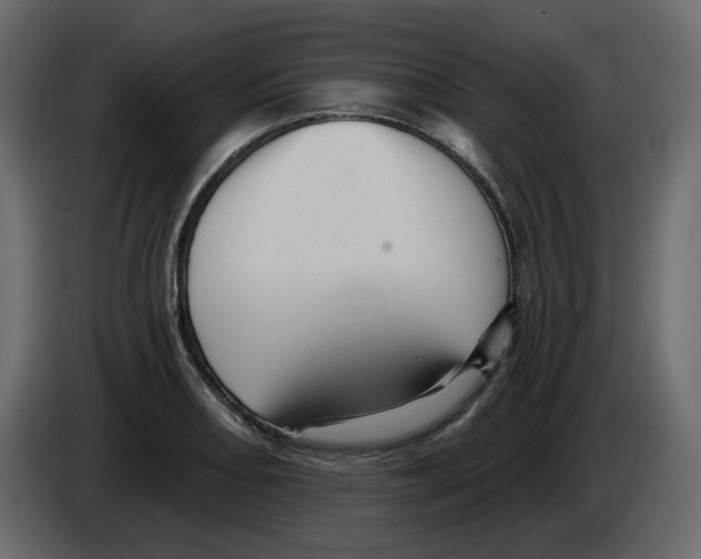 X0000084521082200703231625