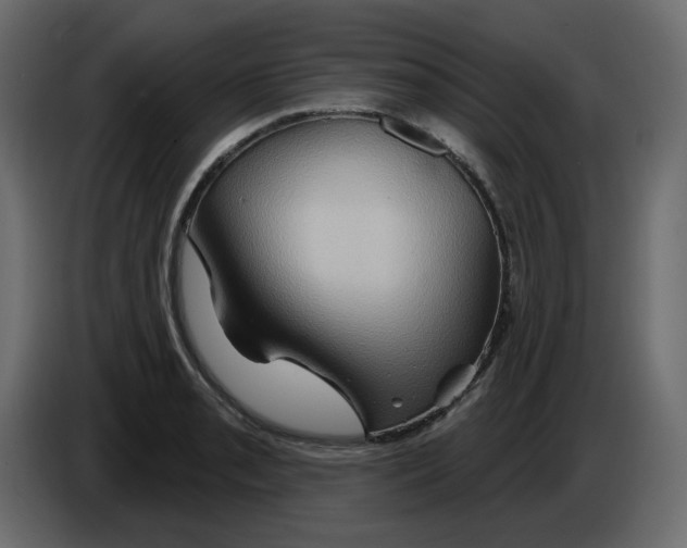 X0000084521085200703231625