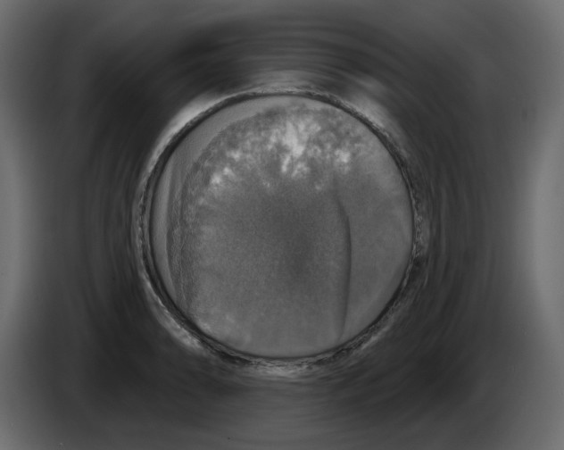 X0000084521086200703231625