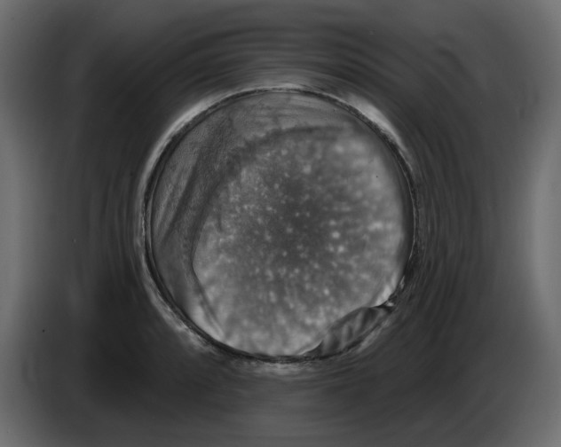 X0000084521088200703231625
