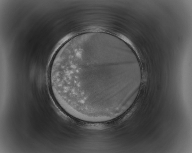 X0000084521090200703231625