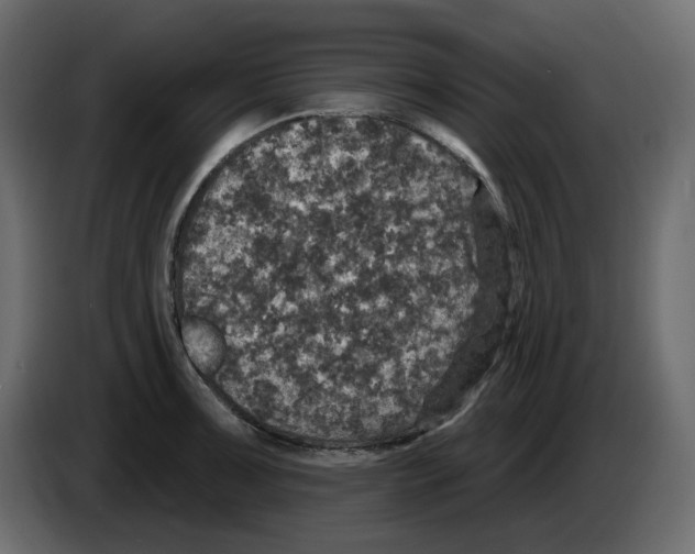 X0000084521091200703231625
