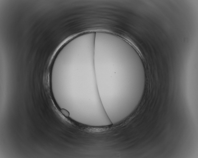X0000084521092200703231625