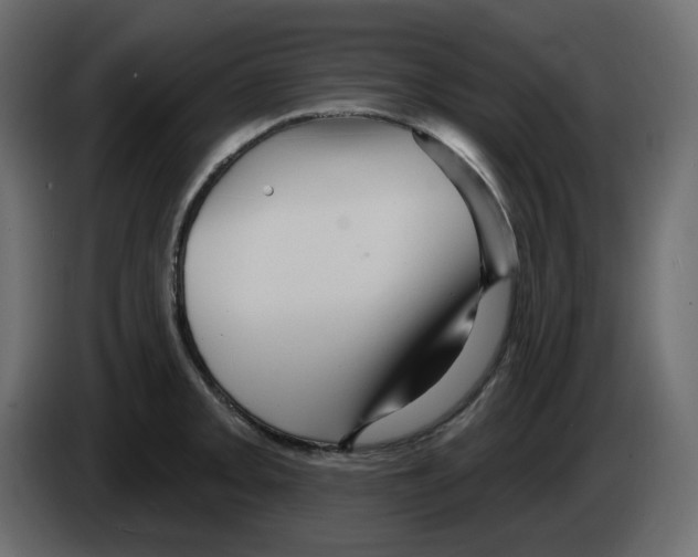 X0000084521093200703231625