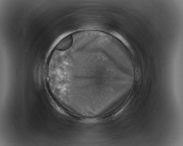 X0000084521094200703231625