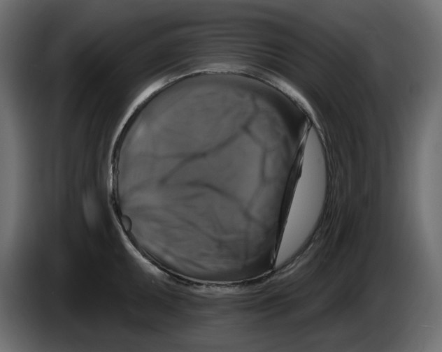 X0000084521095200703231625