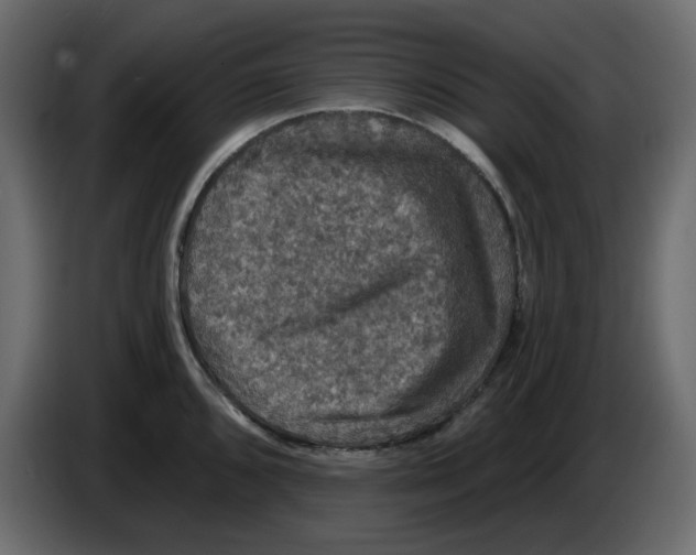 X0000084521096200703231625