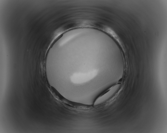 X0000084521097200703231625
