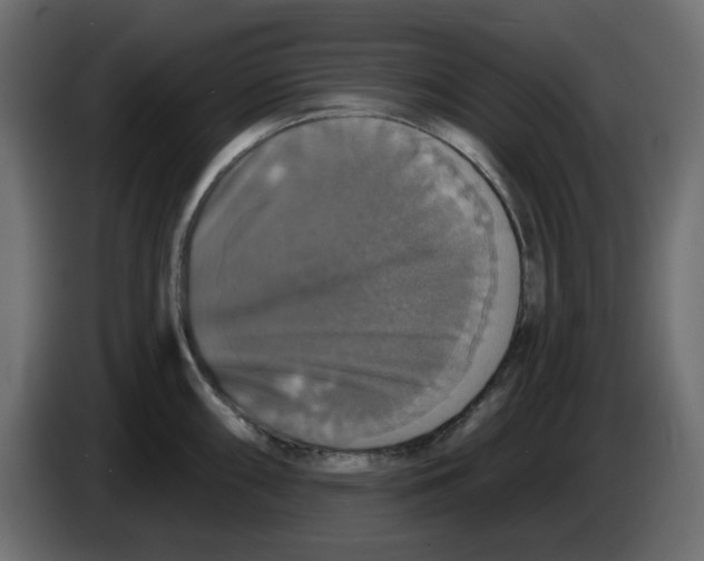X0000084521098200703231625