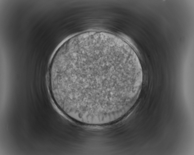 X0000084521100200703231625