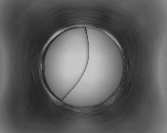 X0000084521101200703231625