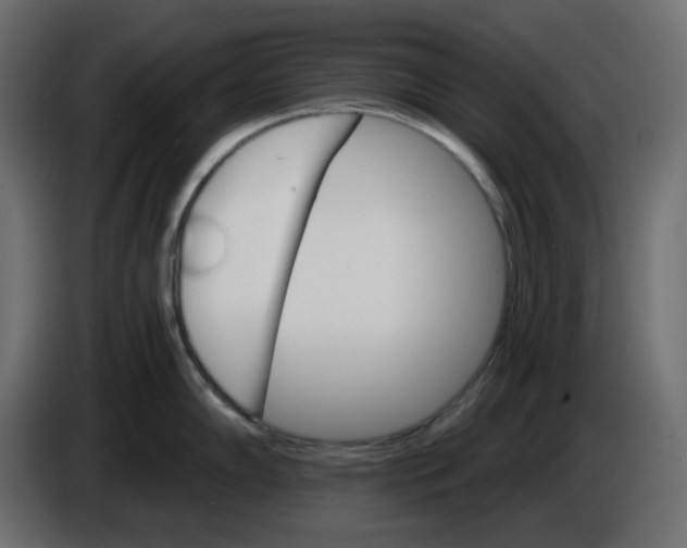 X0000084521102200703231625