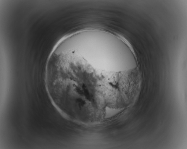 X0000084521103200703231625