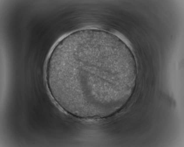 X0000084521104200703231625