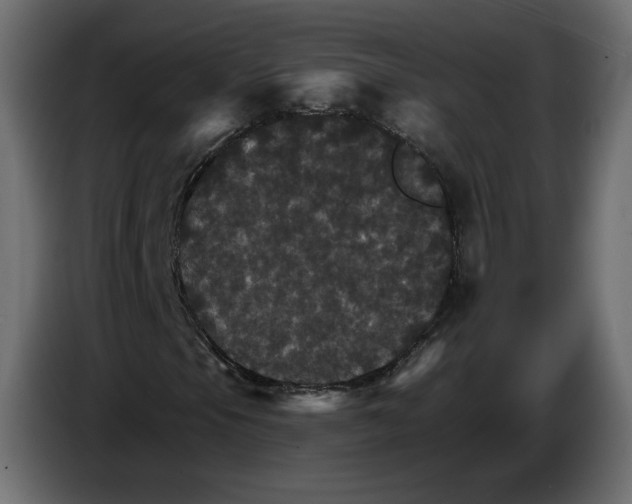 X0000084521105200703231624