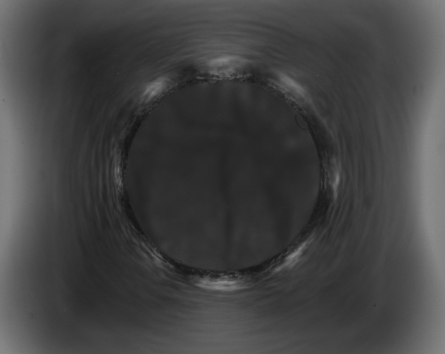 X0000084521106200703231624