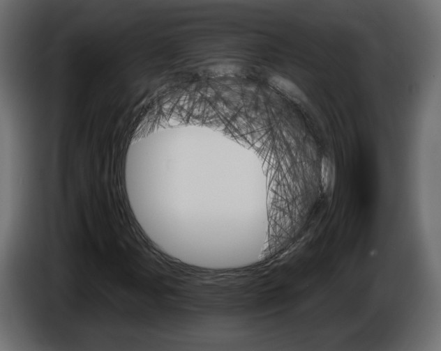 X0000084521107200703231624