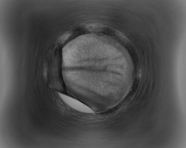 X0000084521108200703231624