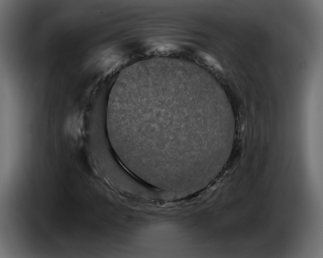 X0000084521109200703231624