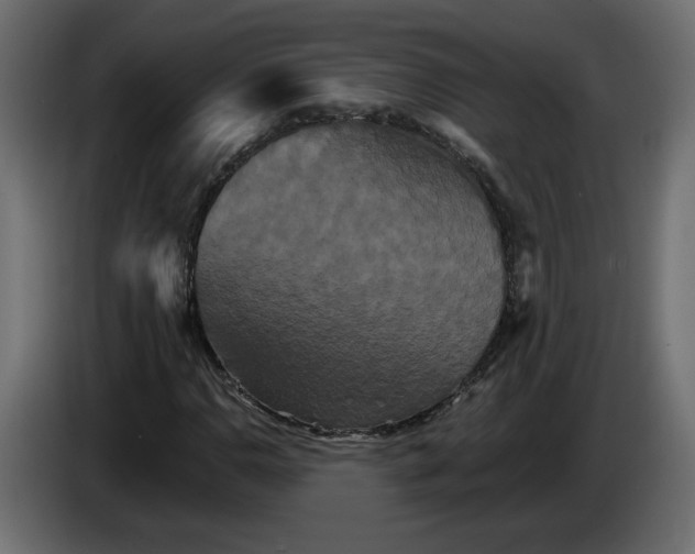 X0000084521110200703231624