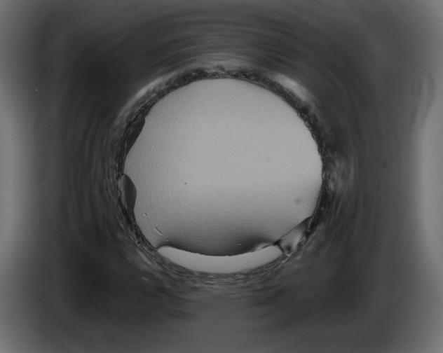 X0000084521112200703231624