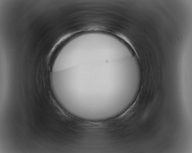 X0000084521115200703231624