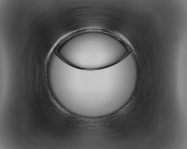X0000084521116200703231624