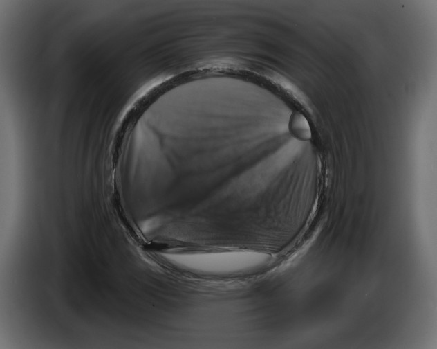 X0000084521117200703231624