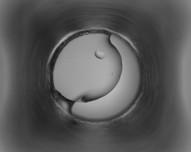 X0000084521118200703231624