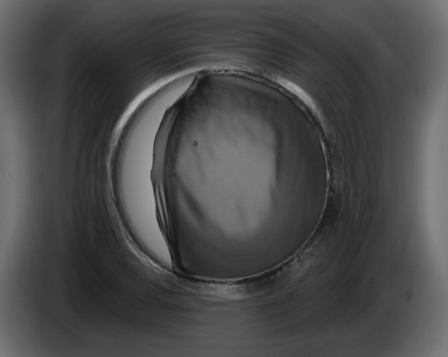 X0000084521120200703231625