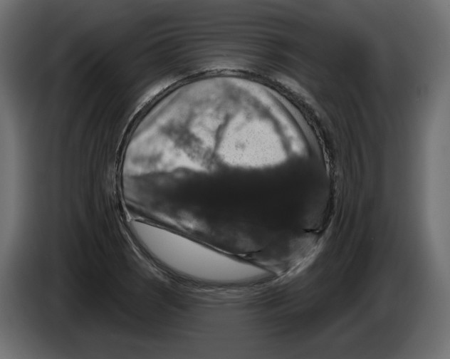 X0000084521121200703231625