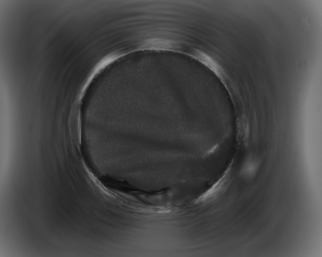 X0000084521123200703231625