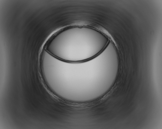 X0000084521124200703231625