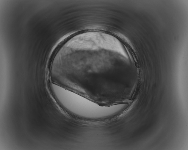 X0000084521125200703231625