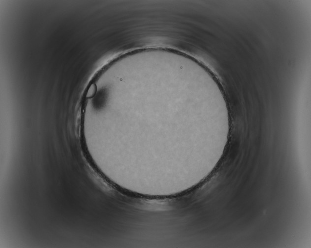 X0000084521126200703231625