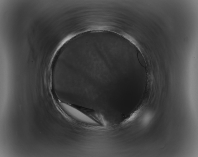 X0000084521127200703231625
