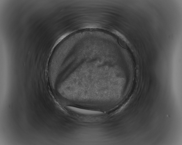 X0000084521129200703231625